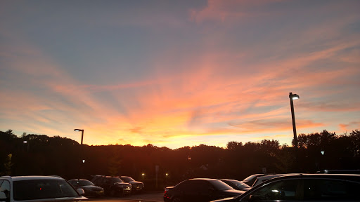 Market «Highland Park Market», reviews and photos, 1320 Manchester Rd, Glastonbury, CT 06033, USA