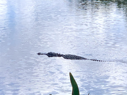 Visitor Center «Big Cypress Swamp Welcome Center», reviews and photos