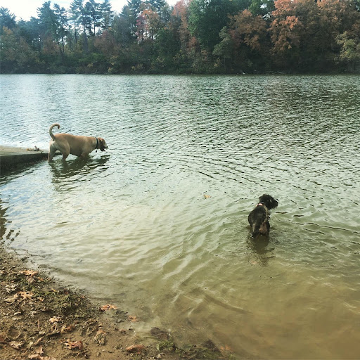 Campground «Winton Woods Campground», reviews and photos, 10245 Winton Rd, Cincinnati, OH 45231, USA