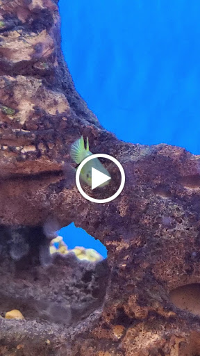 Pet Supply Store «Petco Animal Supplies», reviews and photos, 859 Kings Creek Dr, Tupelo, MS 38804, USA