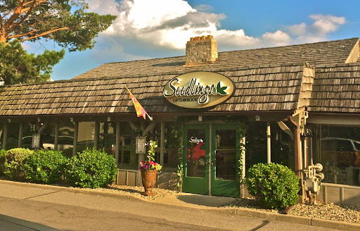 Gift Shop «Seedlings Gifts & Books», reviews and photos, 521 W 78th St, Chanhassen, MN 55317, USA