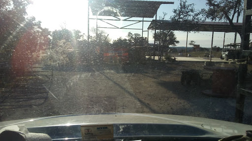 Bar «The Roundup Outdoor Music Venue», reviews and photos, 531 FM 3351, Boerne, TX 78006, USA