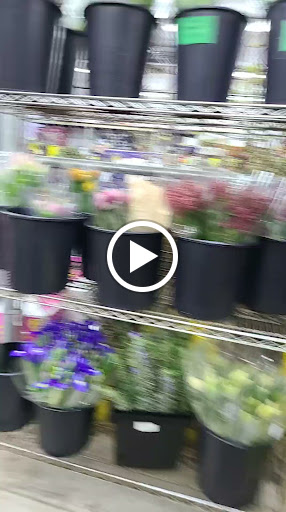 Florist «Nordlie Inc, - Detroit», reviews and photos, 25300 Guenther, Warren, MI 48091, USA