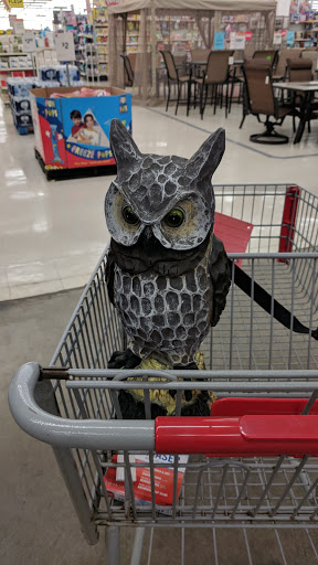 Discount Store «Kmart», reviews and photos, 2095 Rawsonville Rd, Belleville, MI 48111, USA