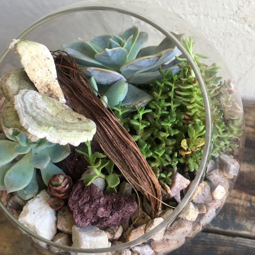 Wholesale Florist «Urban Jungle», reviews and photos, 2603 Sherman Ave NW, Washington, DC 20001, USA