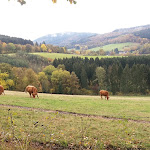 Photo n°1 de l'avis de Detlef.. fait le 30/10/2020 à 09:28 sur le  Pension Bertram à Kirchhundem