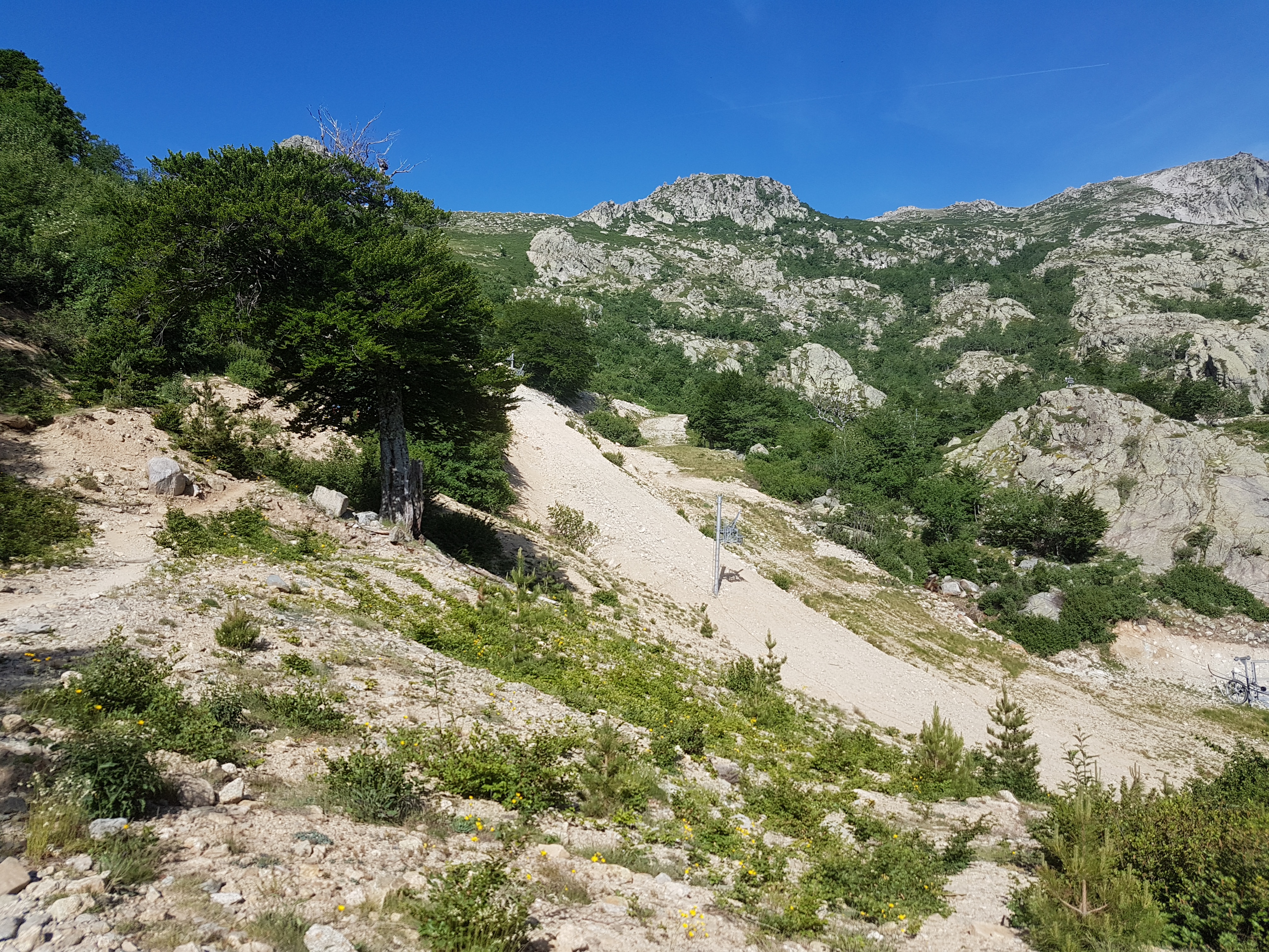 Photo n° 4 de l'avis de M.i fait le 26/06/2019 à 13:49