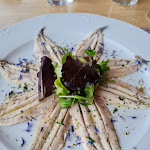 Photo n°4 de l'avis de Milena.l fait le 22/05/2022 à 19:00 sur le  Stella Maris à Bergeggi