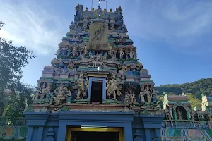 Arulmigu Solaimalai Murugan Temple, Pazhamudircholai image