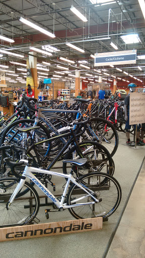 Camping Store «REI», reviews and photos, 279 Salem St, Reading, MA 01867, USA