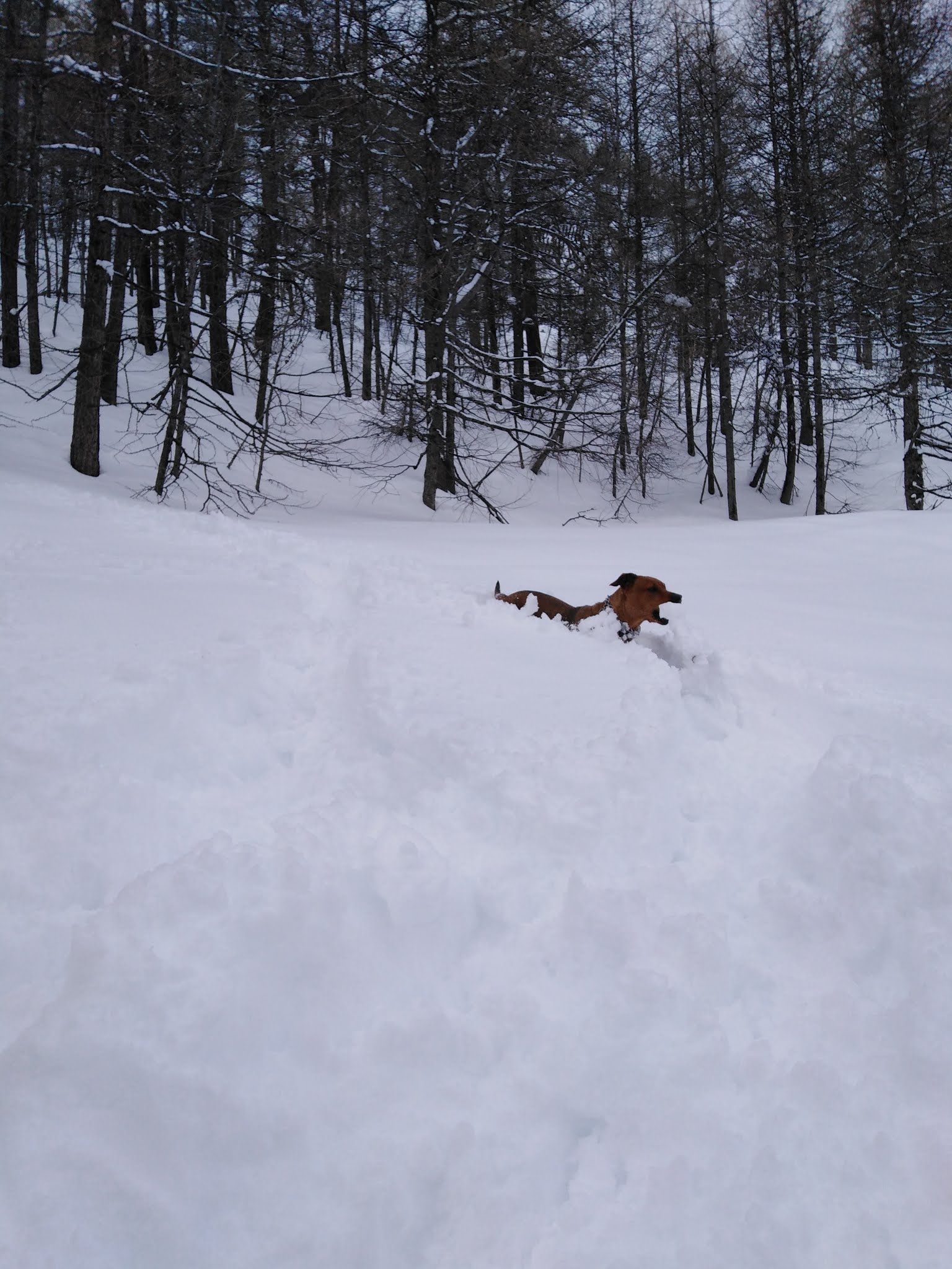 Photo n° 1 de l'avis de Noelle.o fait le 28/03/2019 à 18:41