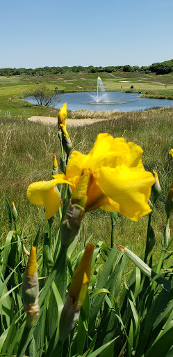 Golf Course «Mill Pond Golf Course», reviews and photos, 300 Mill Rd, Medford, NY 11763, USA