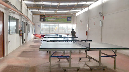 Table tennis academy.