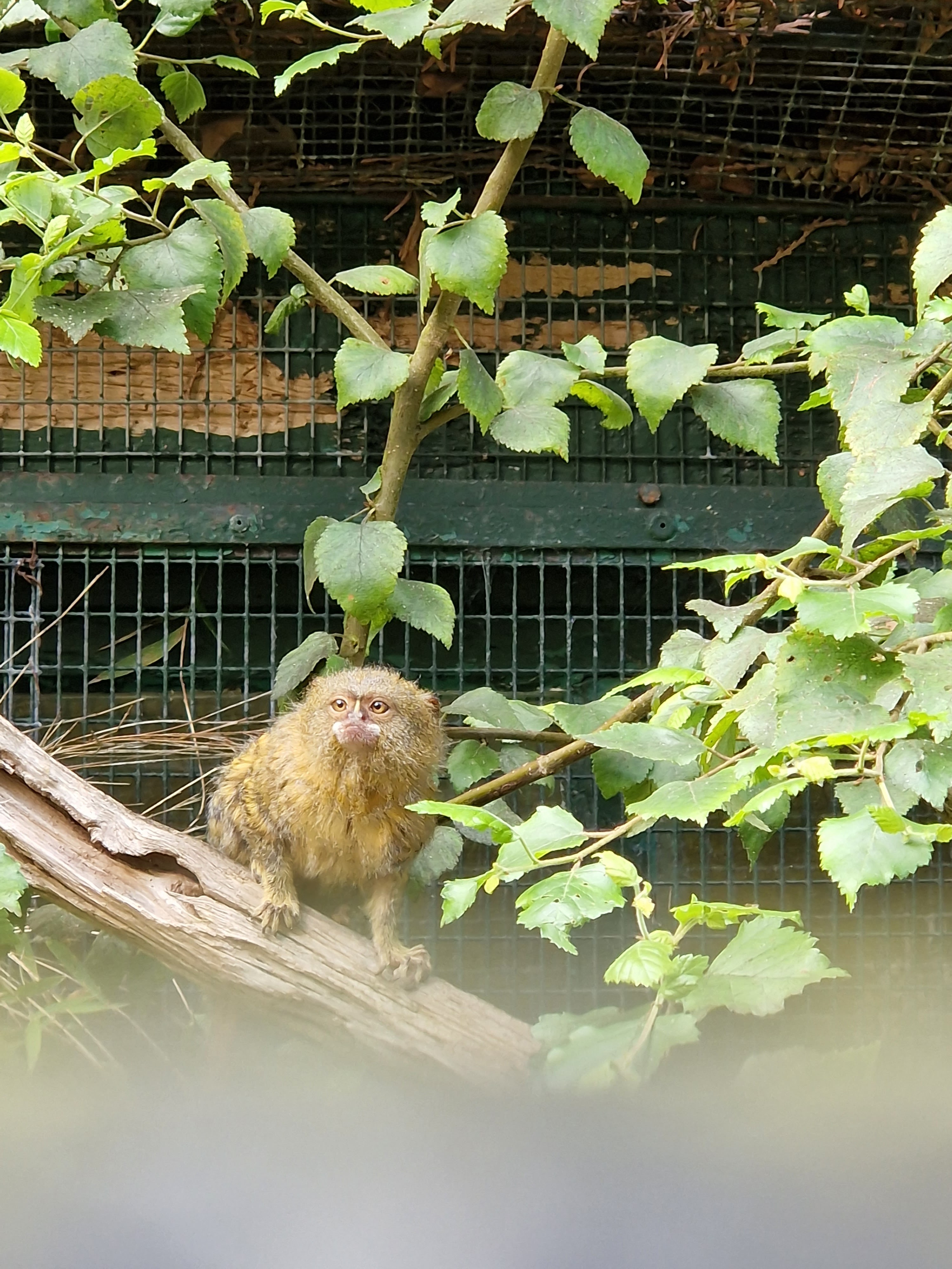 Photo n° 4 de l'avis de Delphine.l fait le 18/07/2023 à 13:34