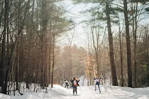 Hardwood Ski and Bike image