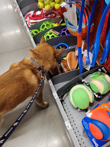 Pet Supply Store «PetSmart», reviews and photos, 10460 Town Center Dr, Westminster, CO 80021, USA