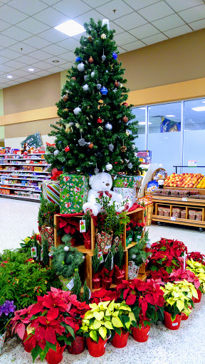 Supermarket «Publix Super Market at Camden Woods Shopping Center», reviews and photos, 1601 Ga Highway 40 E, Kingsland, GA 31548, USA