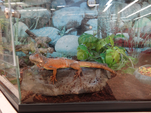 Pet Supply Store «Petco Animal Supplies», reviews and photos, 11331 W Broad St #151, Glen Allen, VA 23060, USA