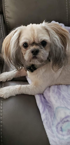 Pet Supply Store «PetSmart», reviews and photos, 16925 N Marketplace Blvd, Nampa, ID 83687, USA