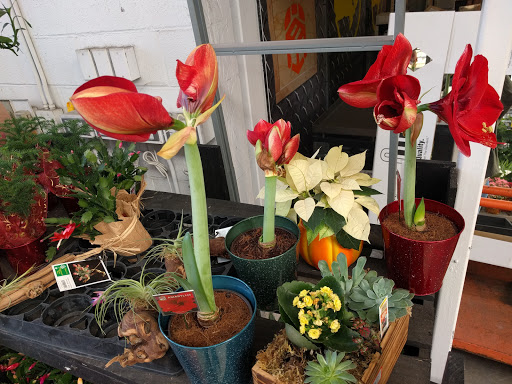 Home Improvement Store «The Home Depot», reviews and photos, 3500 W MacArthur Blvd, Santa Ana, CA 92704, USA