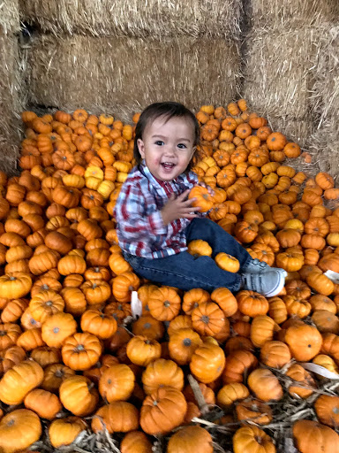 Buick Dealer «AutoNation Buick GMC Henderson», reviews and photos, 330 Old Gibson Rd, Henderson, NV 89014, USA