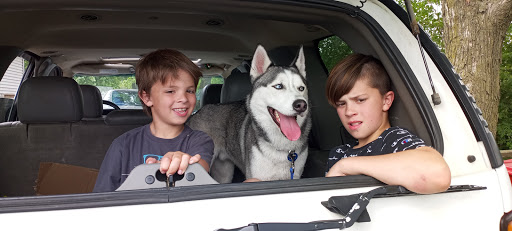 Animal Shelter «South Suburban Humane Society», reviews and photos