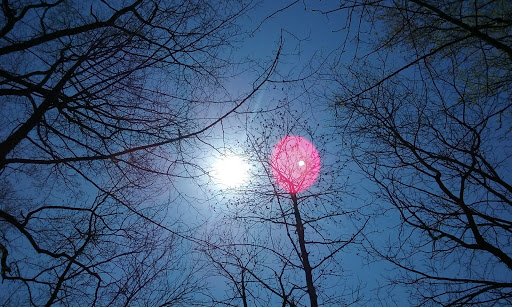 Battle Site «Paoli Battlefield Historical Park», reviews and photos, Monument Ave & Wayne Ave, Malvern, PA 19355, USA