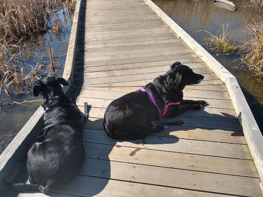 Park «Cherry Creek Valley Ecological Park», reviews and photos, 7500 S Jasper Ct, Centennial, CO 80112, USA