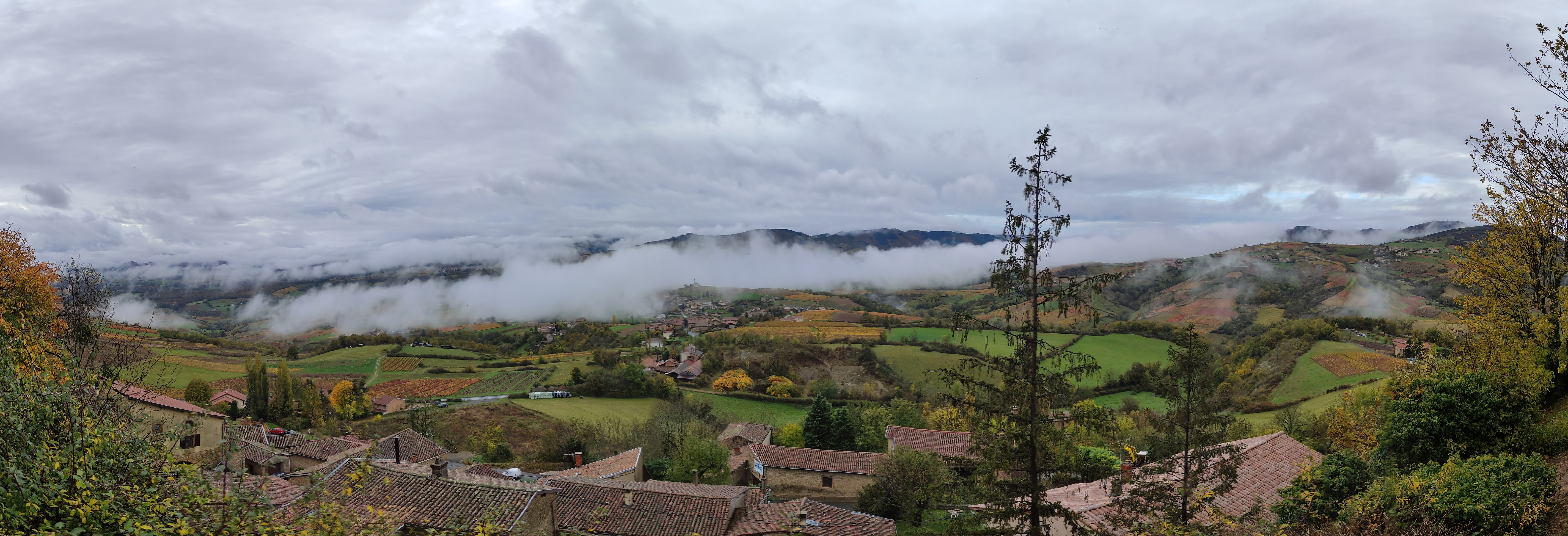 Photo n° 3 de l'avis de Anthony.a fait le 01/11/2021 à 16:22