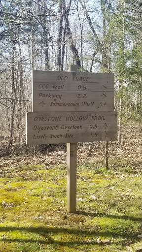 Monument «Meriwether Lewis Monument», reviews and photos, Old Natchez Trace, Hohenwald, TN 38462, USA