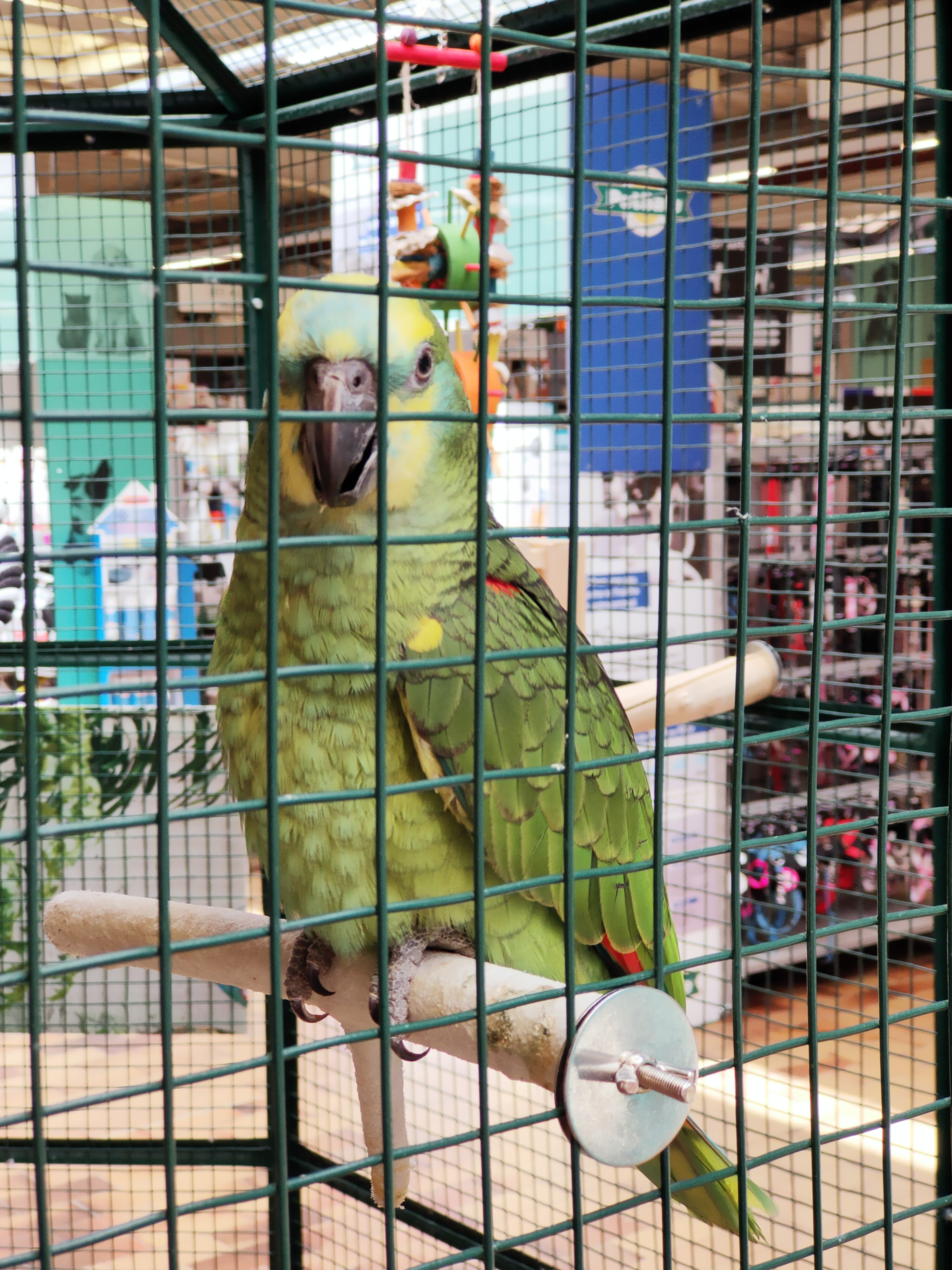 Photo n° 1 de l'avis de Trouspi.a fait le 29/06/2019 à 16:03