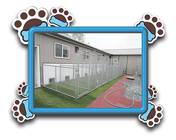 Pet Store «AA Ridgewood Kennels II», reviews and photos, 5401 Lincoln Hwy, Gap, PA 17527, USA