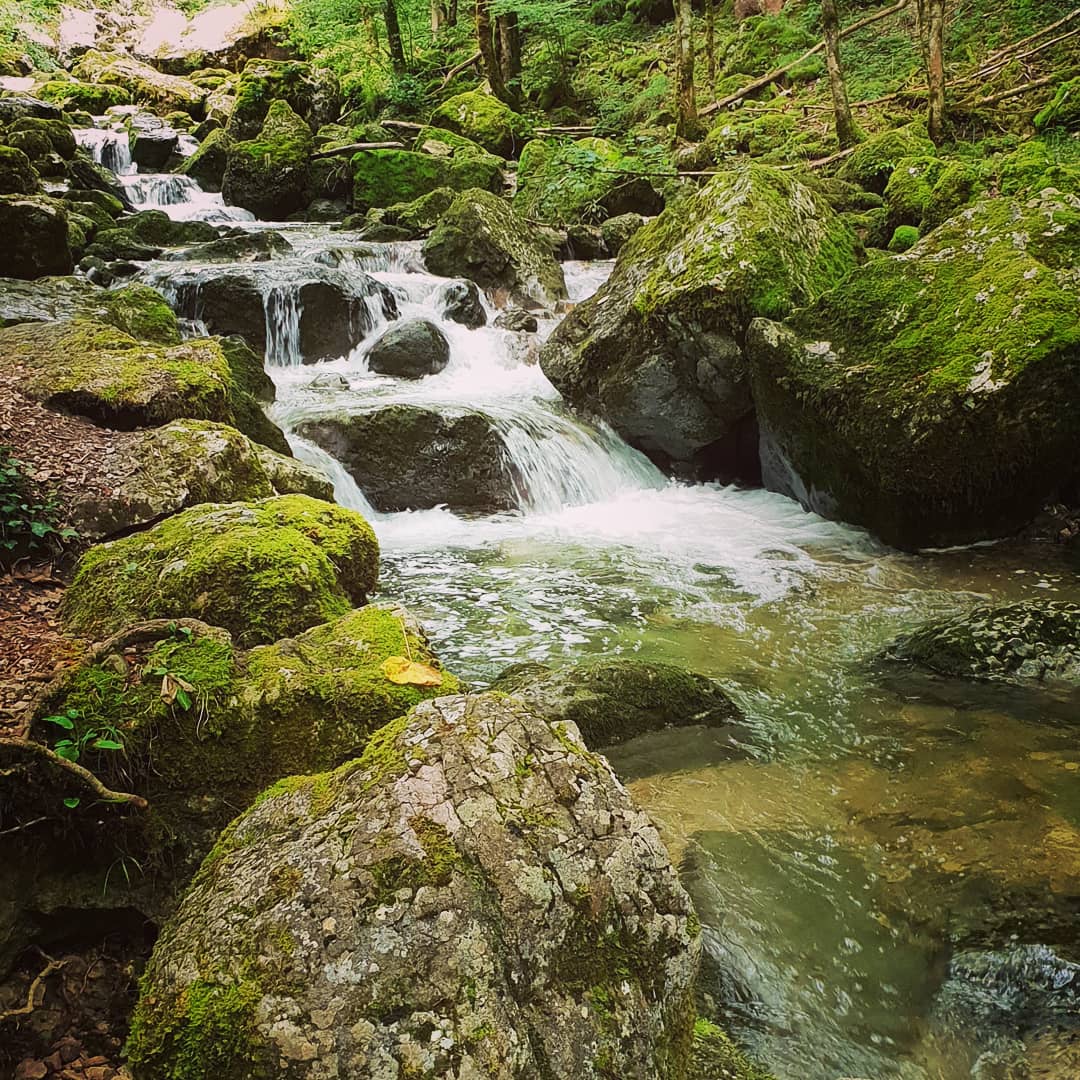 Photo n° 12 de l'avis de totof.h fait le 22/08/2019 à 14:27