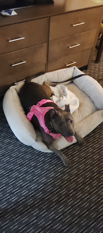 Kimbrell's Furniture - Photo 4 - Car repair in Columbia, SC, Columbia