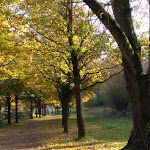 Photo n° 2 de l'avis de Béné.c fait le 09/01/2020 à 15:33 pour Parc Mosaïc à Houplin-Ancoisne