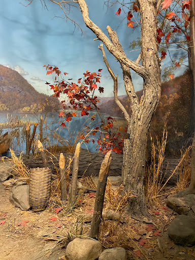 History Museum «The State Museum of Pennsylvania», reviews and photos, 300 North St, Harrisburg, PA 17120, USA