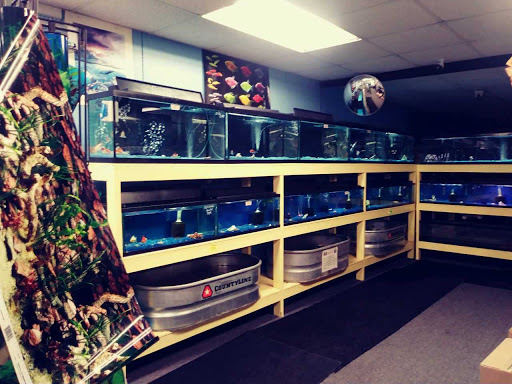 Pet Supply Store «M & M Pet Supplies Inc», reviews and photos, 15625 E Warren Ave, Detroit, MI 48224, USA