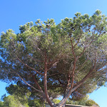 Photo n°8 de l'avis de ala.a fait le 12/09/2019 à 19:05 sur le  Emanuel Enfola - Food & Drink à Portoferraio