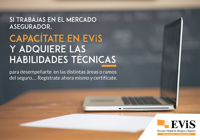 EViS - Escuela Virtual de Riesgos y Seguros - San Isidro
