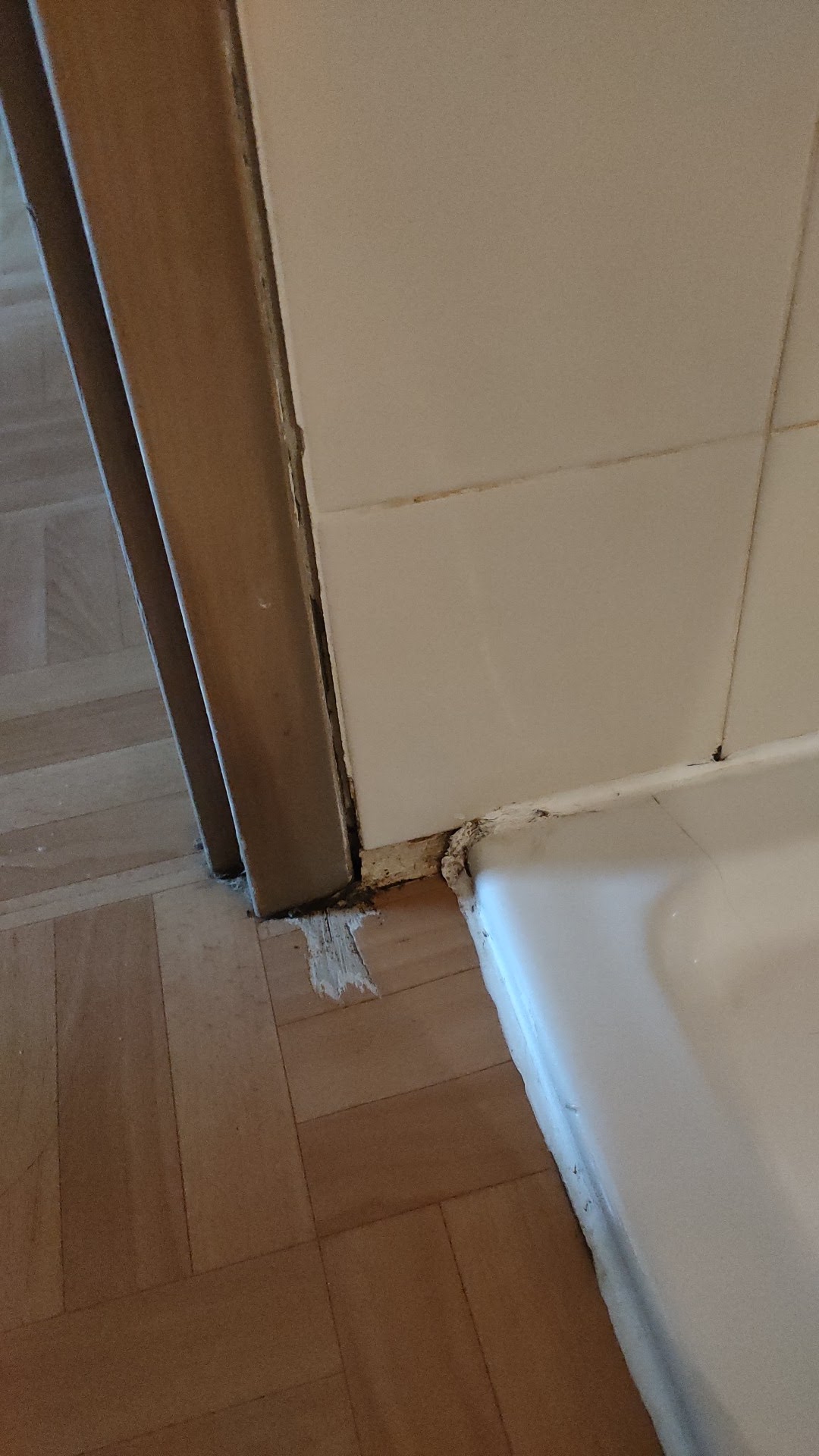 Photo n° 3 de l'avis de Guillaume. fait le 08/08/2022 à 17:26