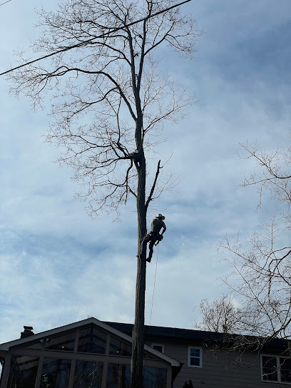 Clark Tree Service