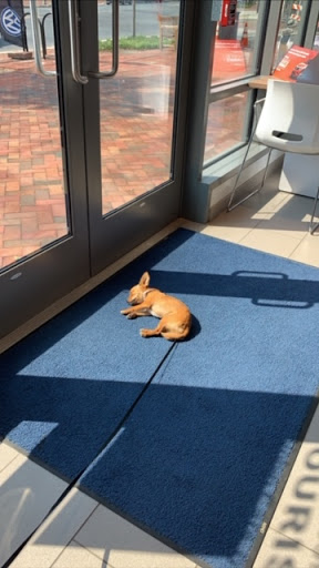 Car Dealer «Volvo Cars of Bethesda», reviews and photos, 7001 Arlington Rd, Bethesda, MD 20814, USA