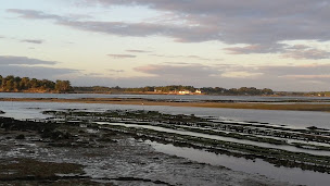 Photo n°106 de Madame Mouette (anciennement les Algues marines) à Belz ()