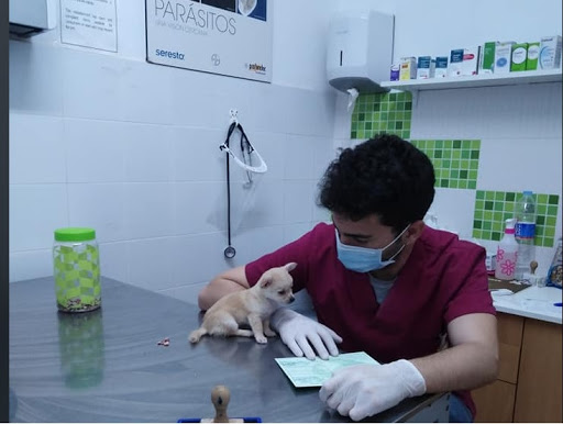 Clínica Veterinaria Naturalia en Huelva