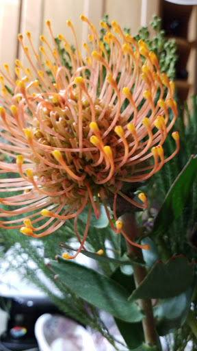 Florist «Green Cottage», reviews and photos, 1204 NY-213, High Falls, NY 12440, USA