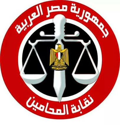 حمدي محمد علي المحامي