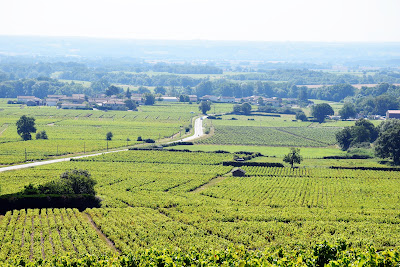 Domaine des Souchons à Villié-Morgon
