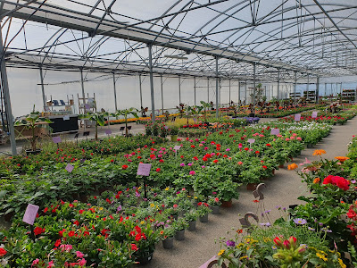 Jardins Malices à Verrières-en-Anjou