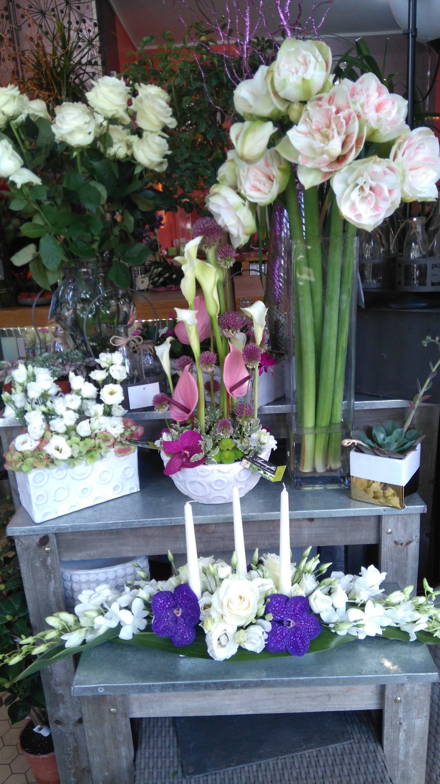 Photo n° 5 de l'avis de fleuriste.m fait le 24/01/2017 à 16:42