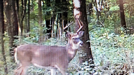 Home Improvement Store «Tractor Supply Co.», reviews and photos, 4601 E Grand River Ave, Howell, MI 48843, USA